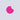 Rotation Label - Circle Label 3/4 Diameter - Fluorescent Pink