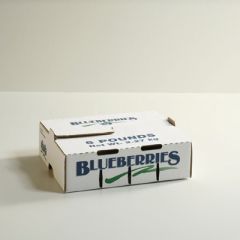 5lb Blueberry Carton Self-Locking                           