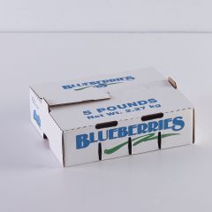 5lb Blueberry Carton Self-Locking                           