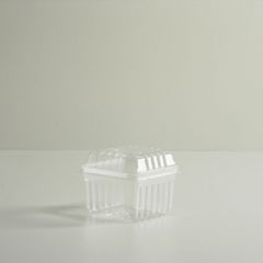 Pint & Half Pint Clear Plastic Lid                          