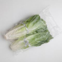 Large Produce Bag - Clear Vented Poly                       