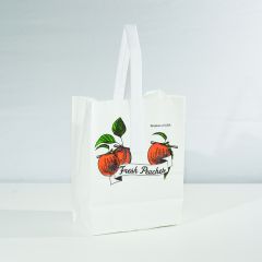 Paper Handle Bag Quarter Peck - Peach    