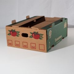 20lb Tomato Carton - Green & Red Print