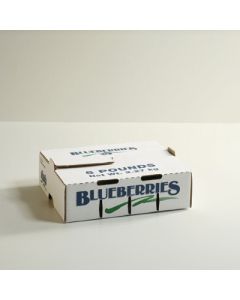 5lb Blueberry Carton Self-Locking                           
